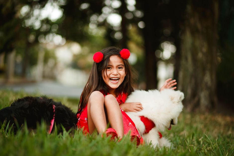 Cheerful kid in summer outfit sitting on lawn and playing with friendly dogs while looking at camera